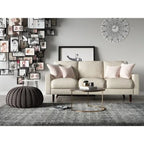 2 Piece Living Room Set